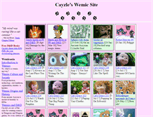 Tablet Screenshot of cayzle.com